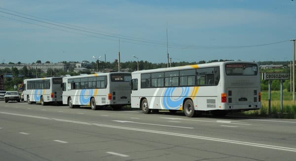 Новые автобусы. Новости