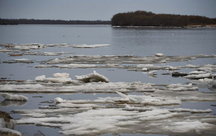 Когда водоемы полностью очистились ото льда 2024. Реки освобождаются ото льда. Зея ледоход. Река вскрывается ото льда. Зея Ледяная река.