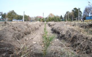 Ваз в амурской области