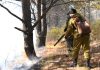 В правительстве Амурской области обсудили прохождение пожароопасного сезона